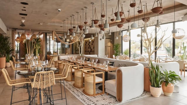 Cala Scottsdale photo 1