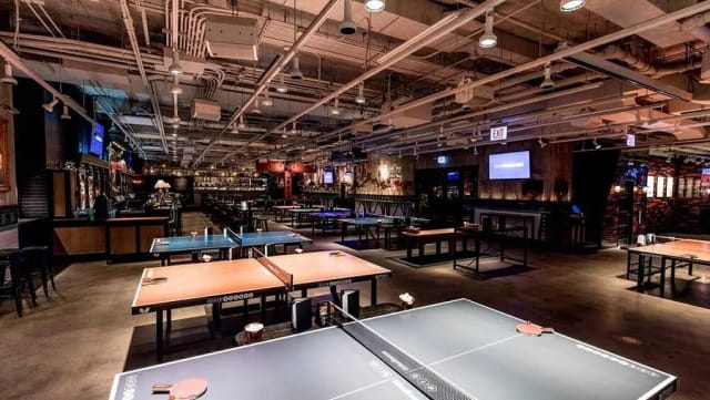 AceBounce photo 3
