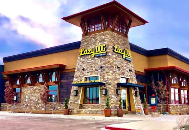 Lazy Dog Restaurant & Bar: Colorado Springs photo 5