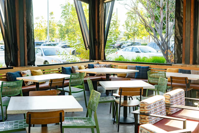 Lazy Dog Restaurant & Bar: Colorado Springs photo 4