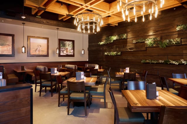 Lazy Dog Restaurant & Bar: LA Live photo 5