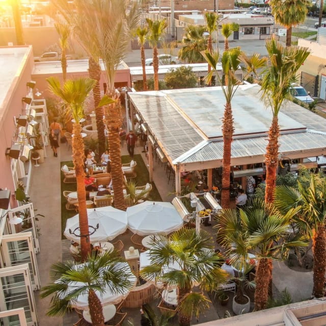Palma - Phoenix photo 3