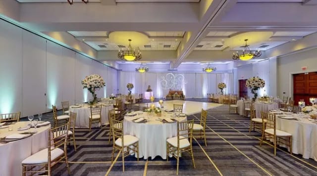 Renaissance Tampa International Plaza Hotel photo 5