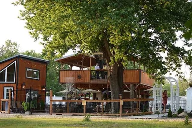 Renaissance Wine Garden and Wedding Venue photo 5