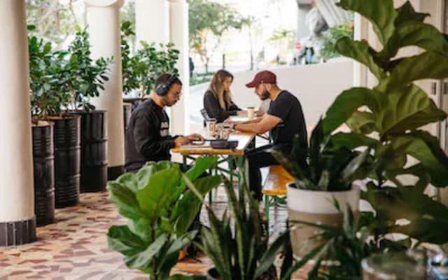 The Terrace  at General Provision Work Club