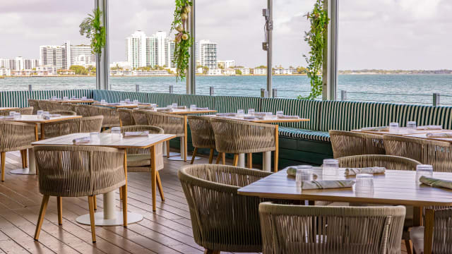 Main Deck - West Corner at Palm Tree Club