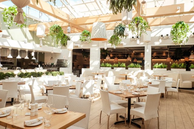 Full Restaurant Buyout at Summer House Chicago