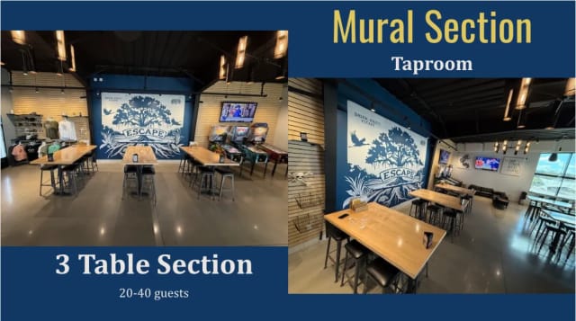 Mural Section at The Collective at Escape Brewing Company