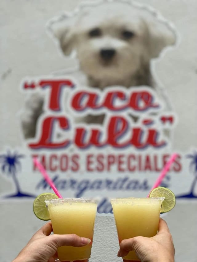 Taco Lulú photo 5
