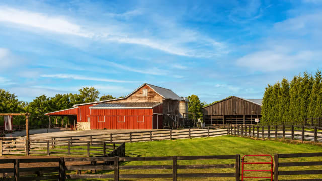Bellawood Farm photo 5