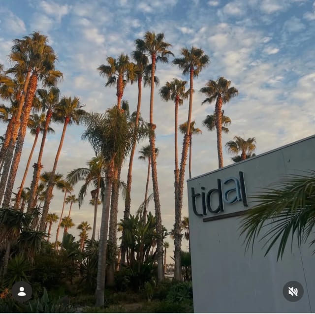 Tidal photo 3