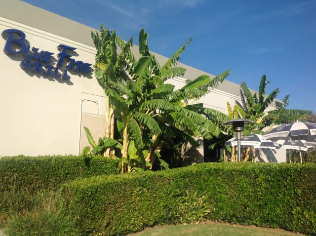 Blue Fire Grill photo 5