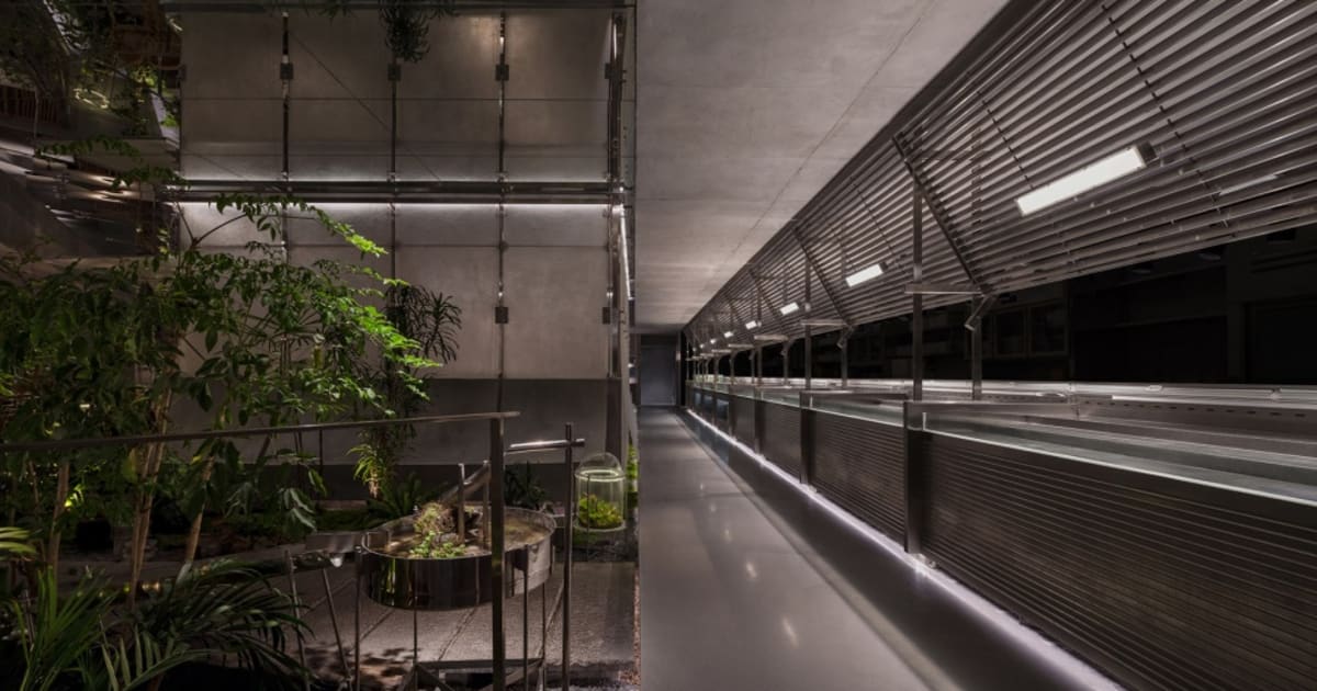 Illustration of Greenhouse Inspired Penthouse Hallway