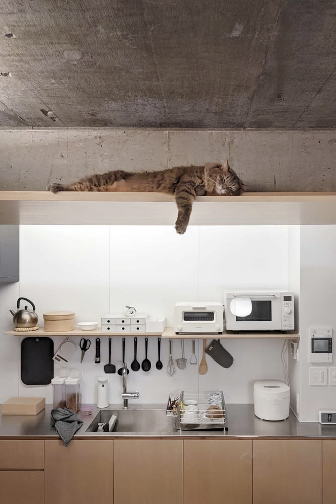 專業室內設計師規劃的現代居家空間