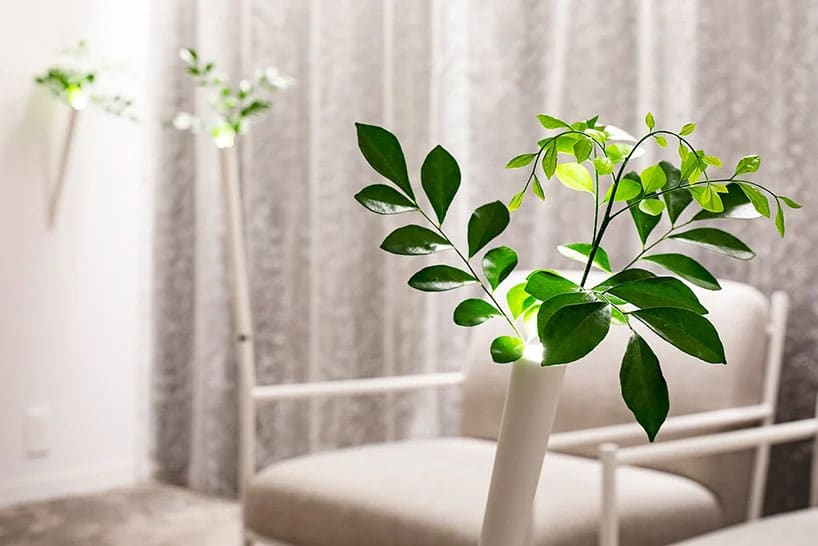 室內綠植角落設計