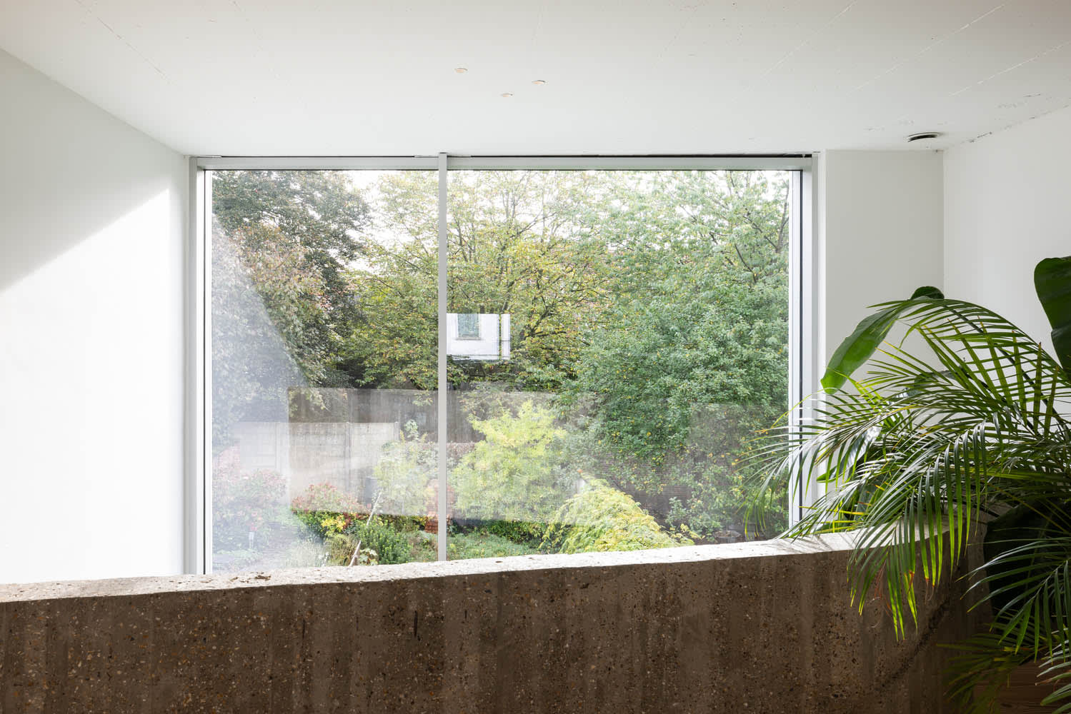 省エネ性能の高い窓が設置されたモダンな住宅内装