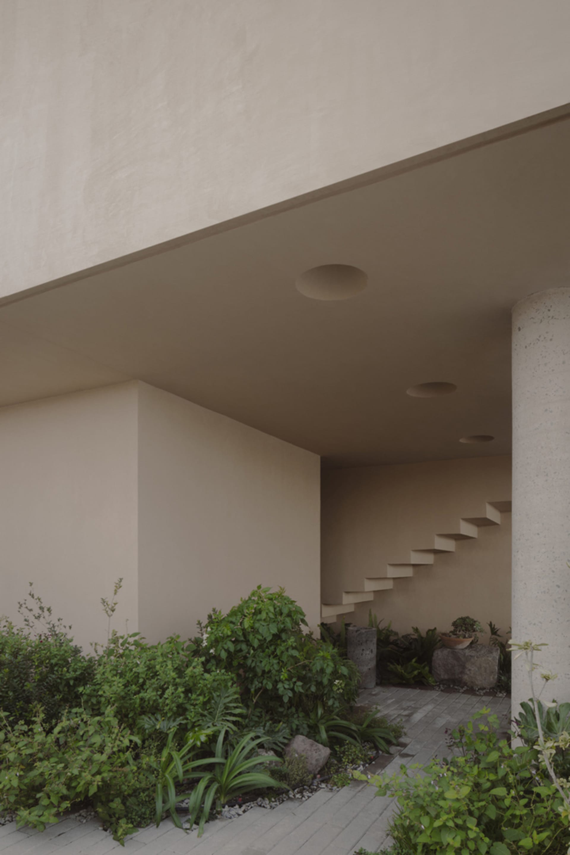A modern interior space featuring concrete elements and lush green plants.