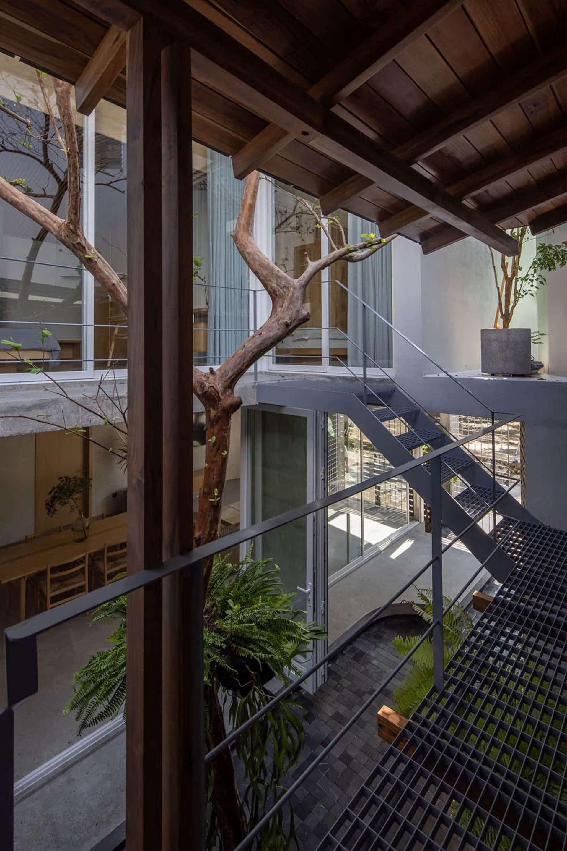 A modern industrial residential staircase with metal railings and a tree growing through the middle.