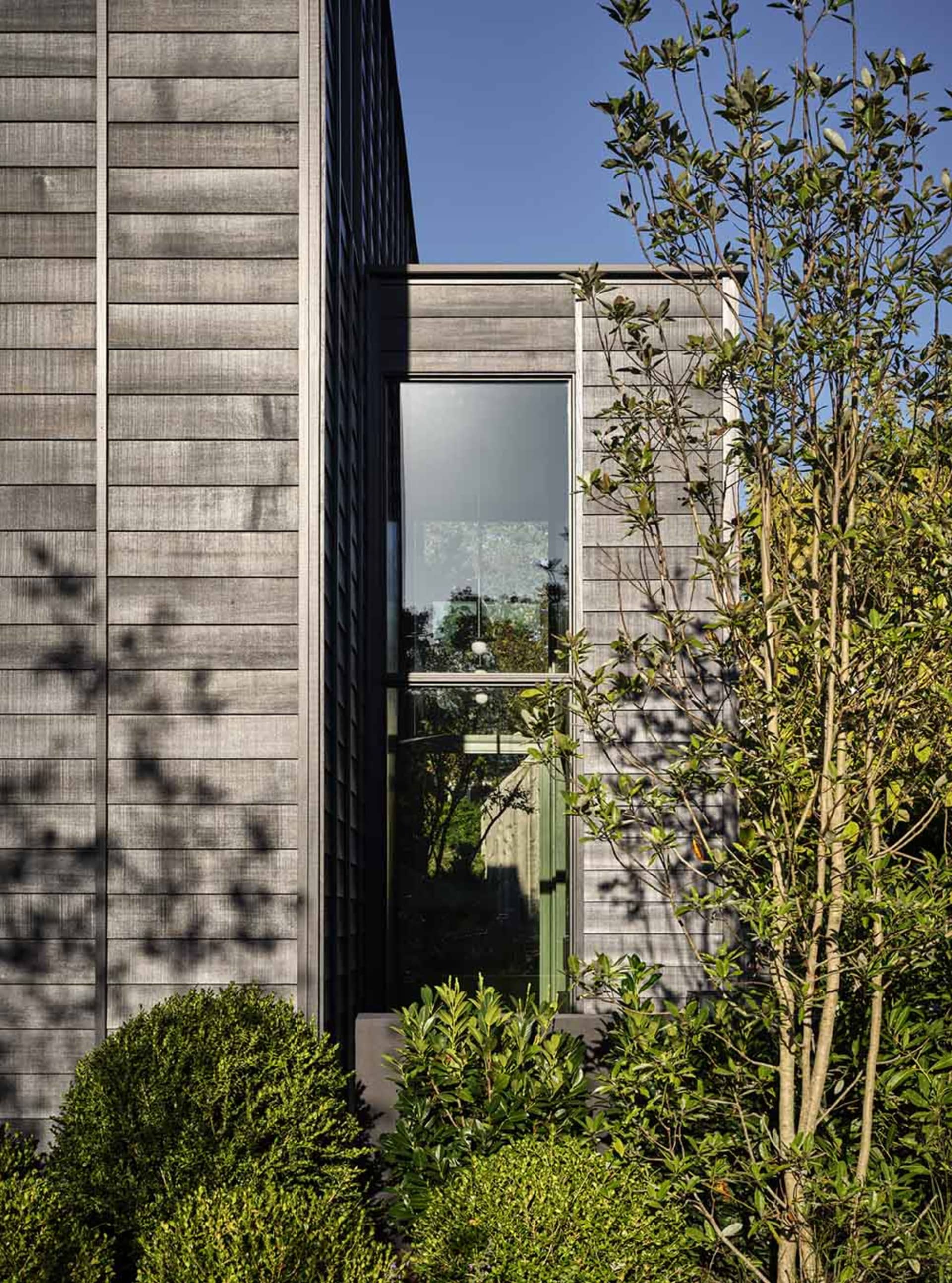 Modern architectural design featuring wooden exterior panels and green foliage