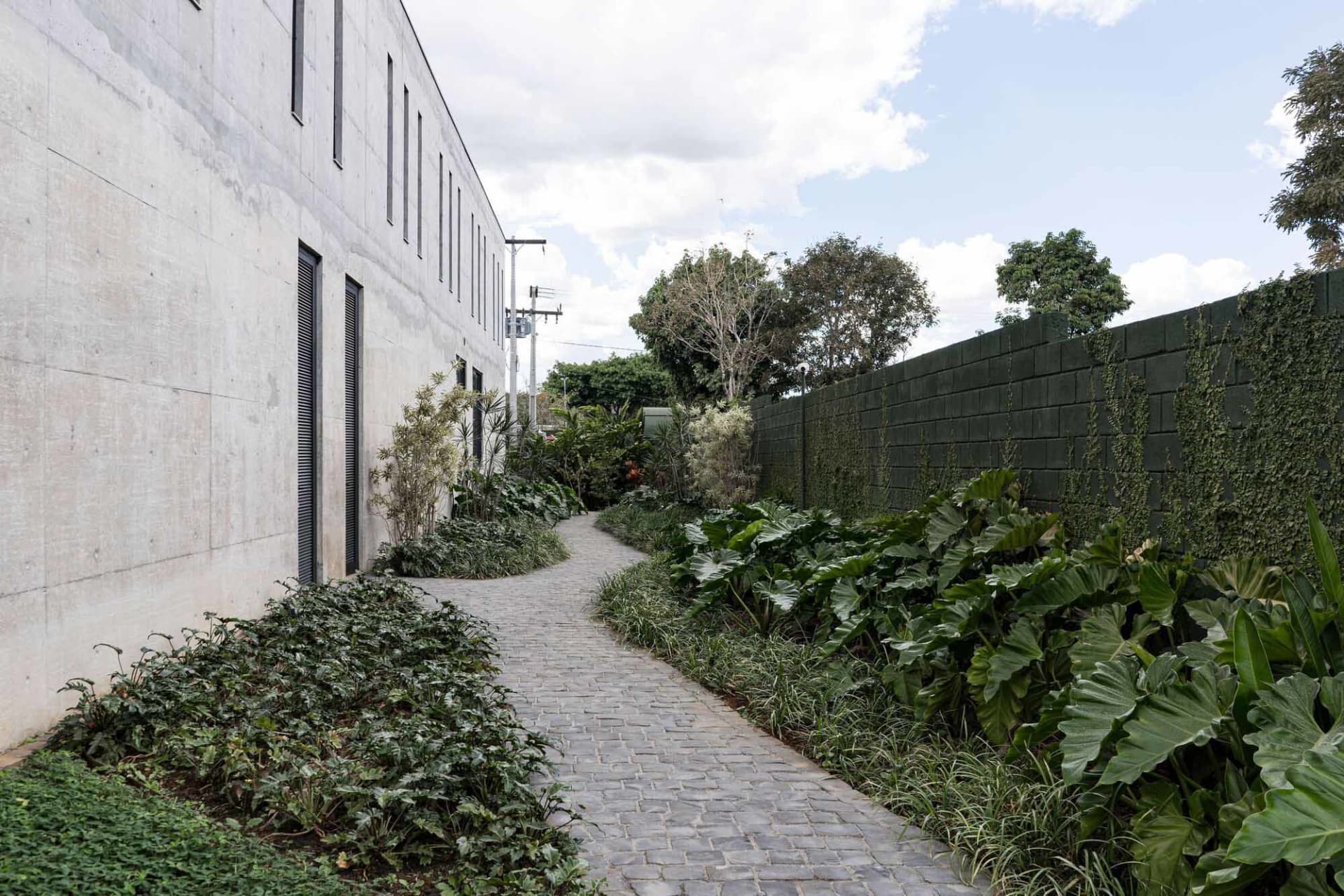 Concrete sidewalk lined with greenery and plants in an urban setting.