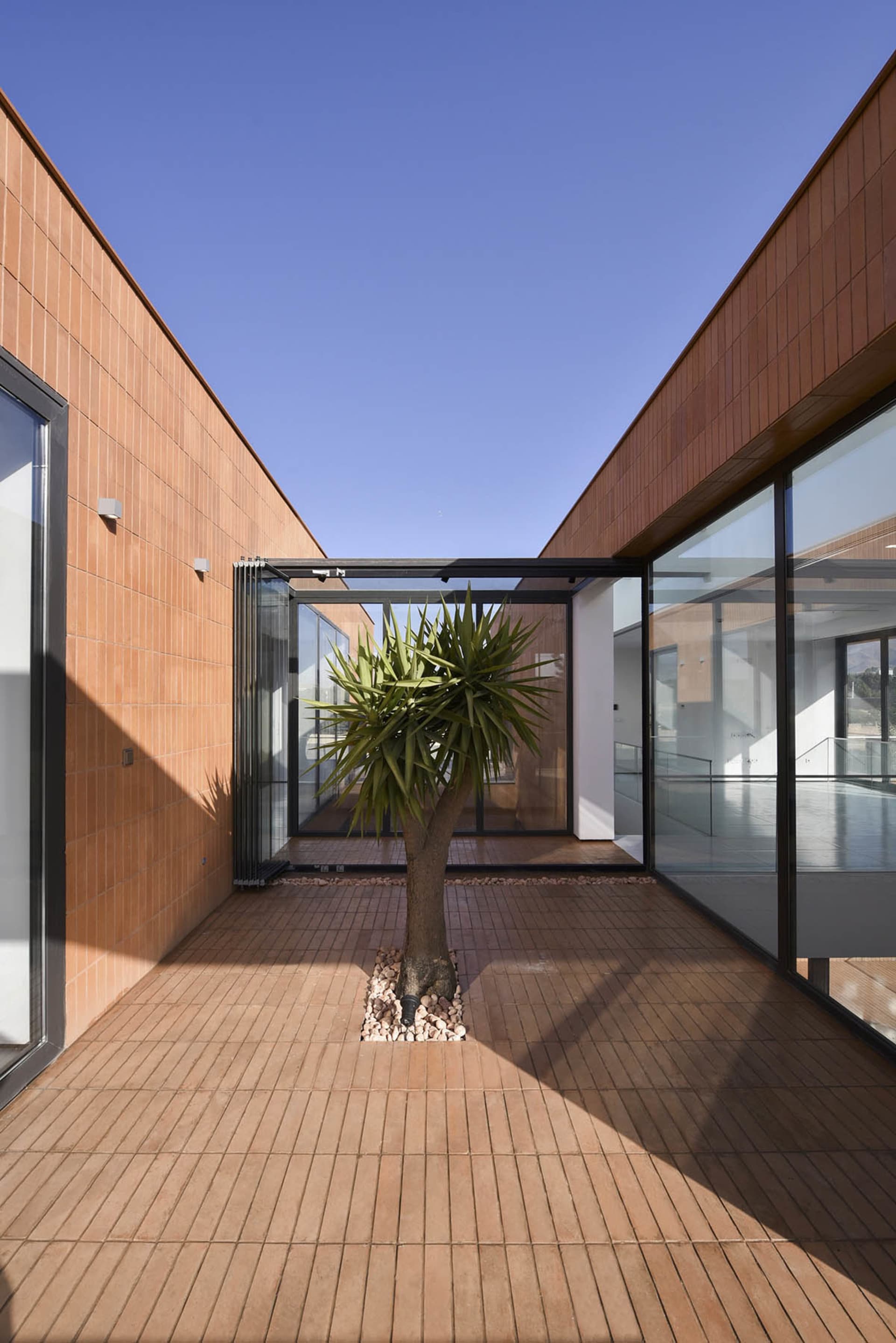 Modern roof garden with a small palm tree planted in the center, featuring a terrazzo floor and surrounding brick walls.