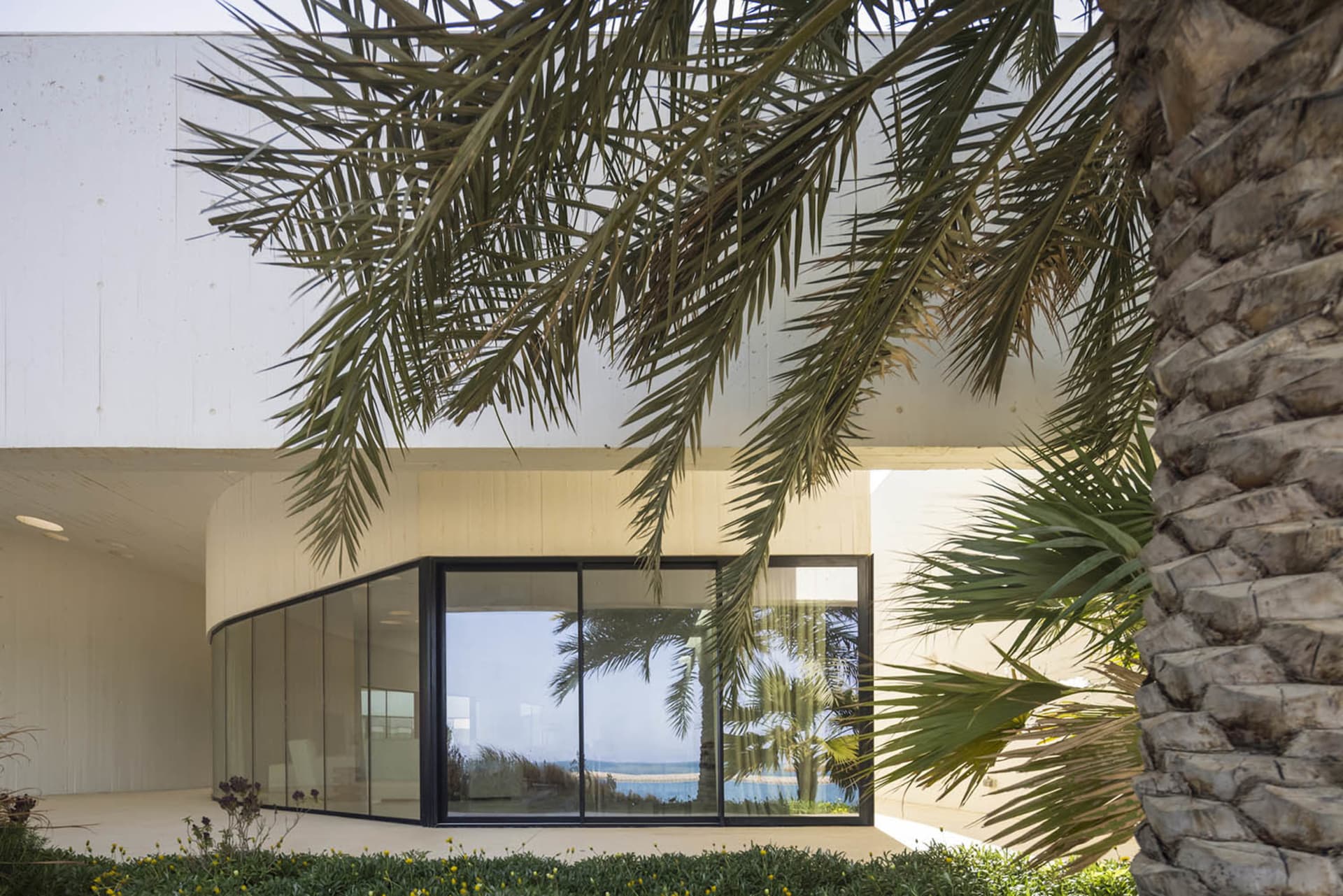 Modern house with white and tan exterior walls, large glass sliding doors, and palm trees.
