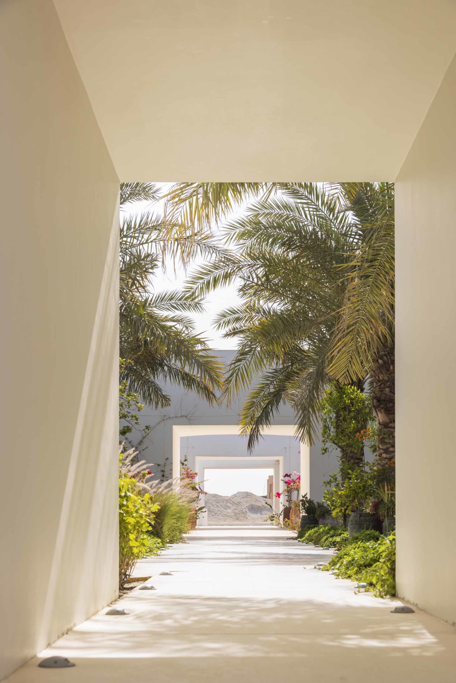 Concrete pathway with palm trees in a landscaped area.