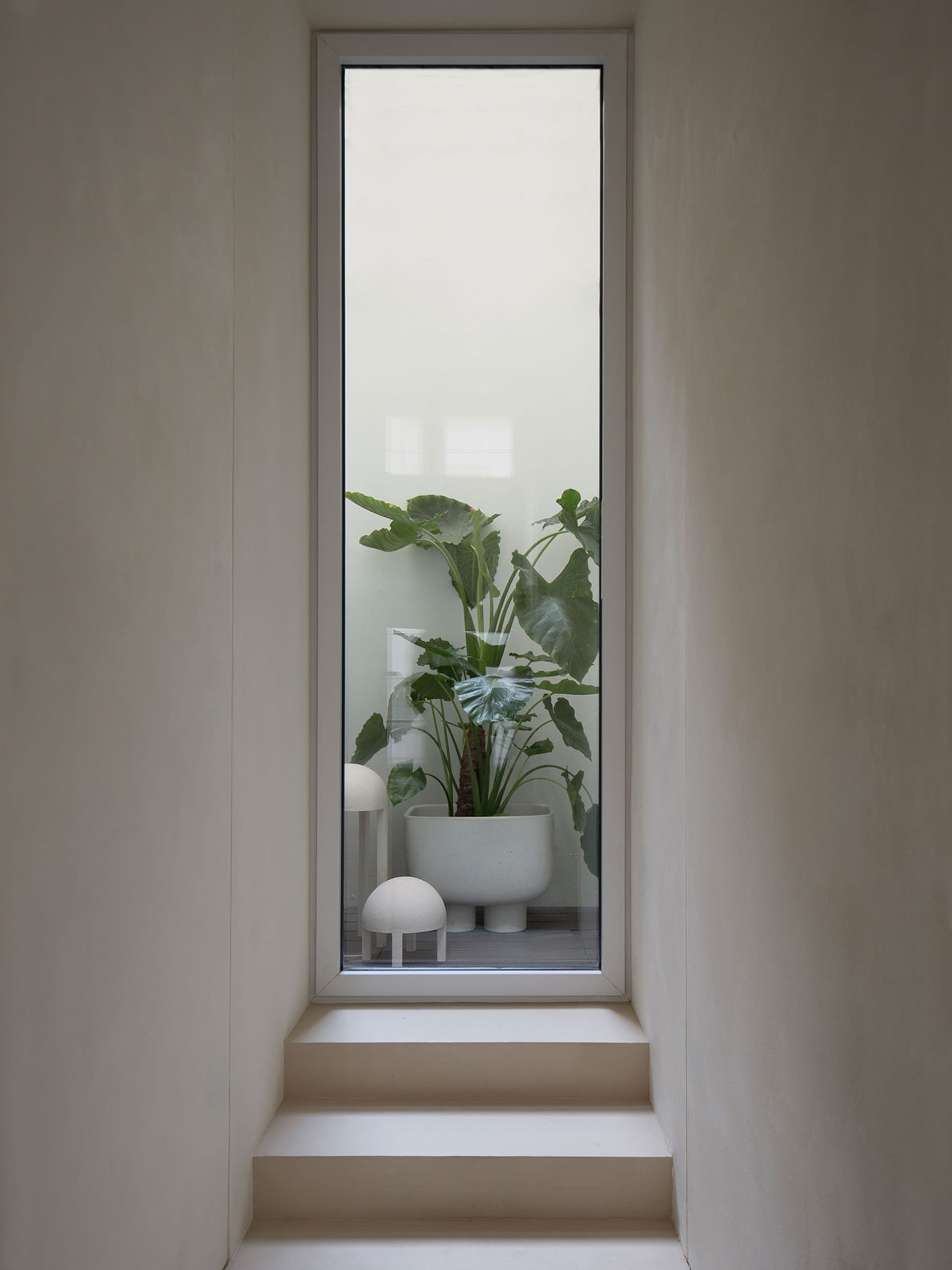 Modern staircase with indoor plant in a minimalist space.