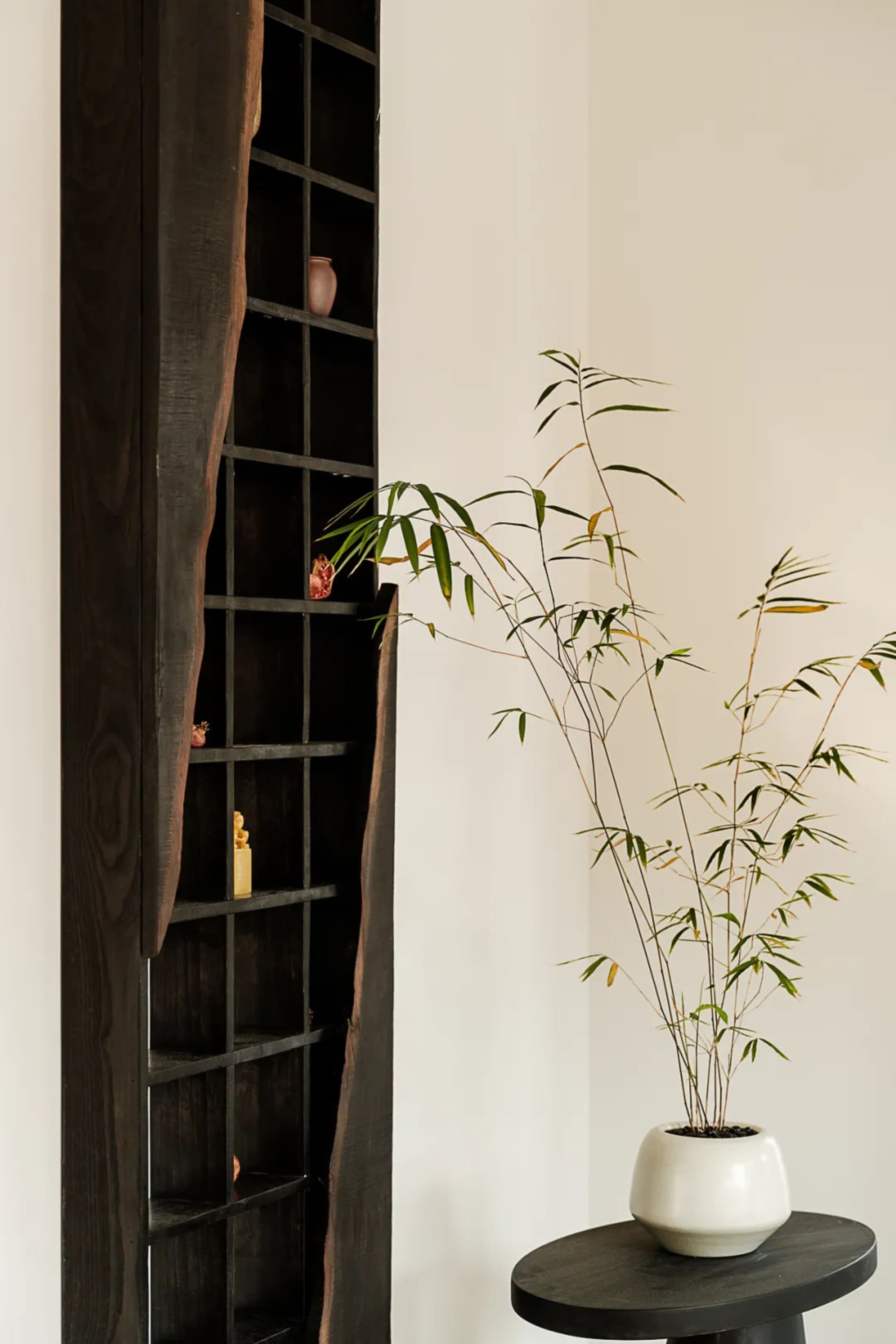 A minimalist living room featuring a tall, dark wood shelving unit with decorative objects and a potted plant.