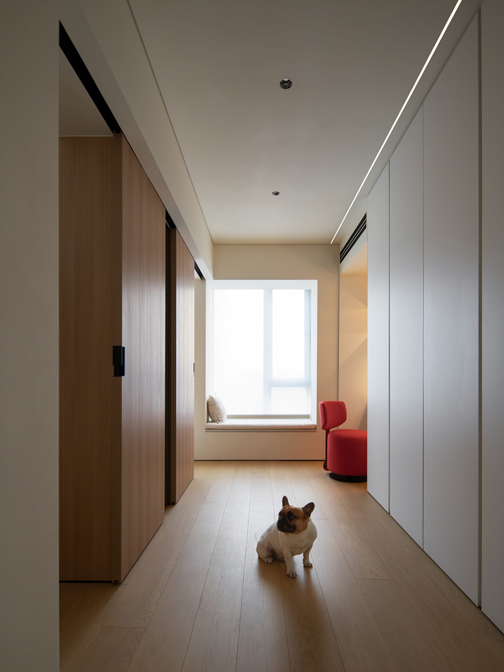 A clean, modern living space with a timber floor, minimalist design, and a French Bulldog sitting by a window seat.