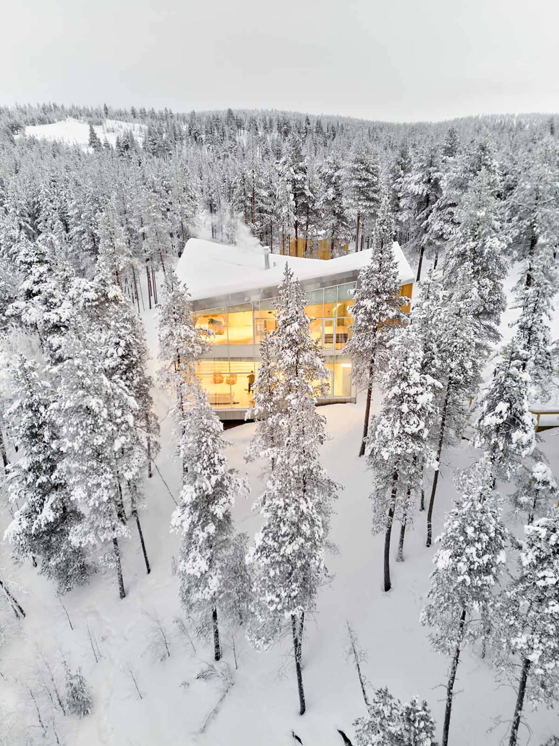 Modern house with large glass windows surrounded by snowy pine trees in a forest.