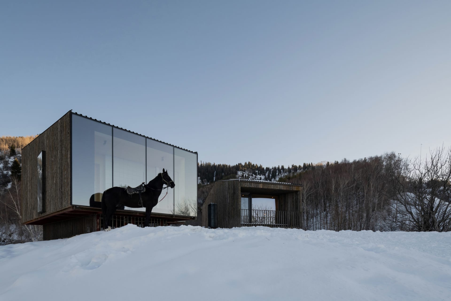 一匹黑馬站在雪地上,前面是一棟現代木造住宅建築。