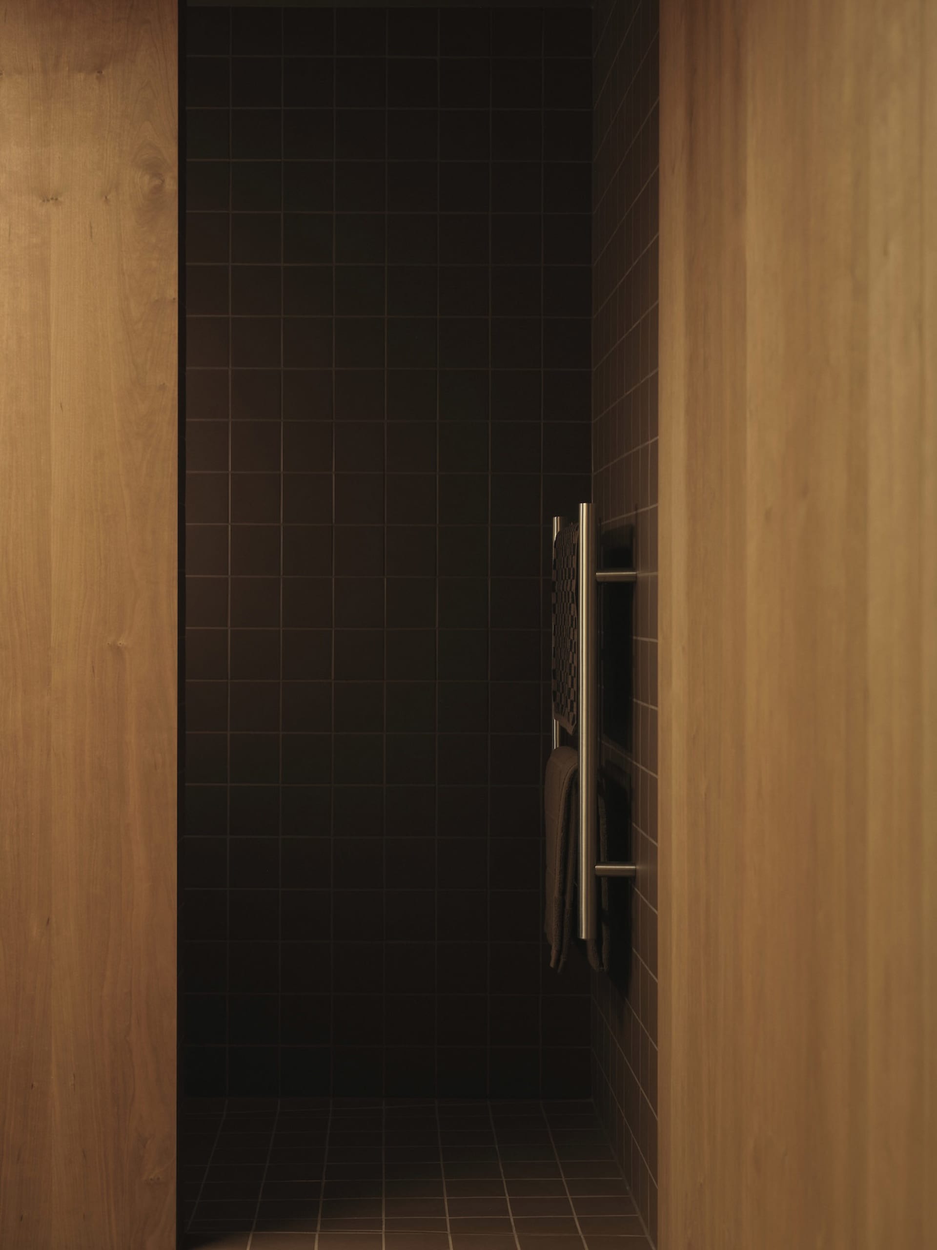 Modern bathroom with dark tiled walls and floor, featuring a wooden door frame and stainless steel towel rack.
