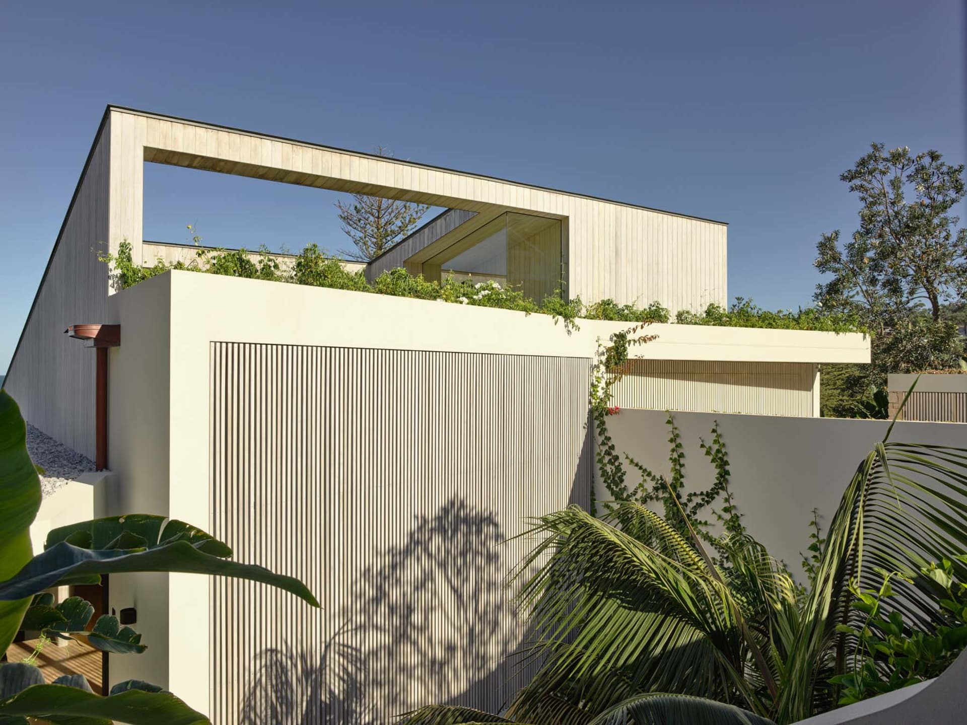 Modern house with green roof covered in plants, featuring a large window and wooden panels.