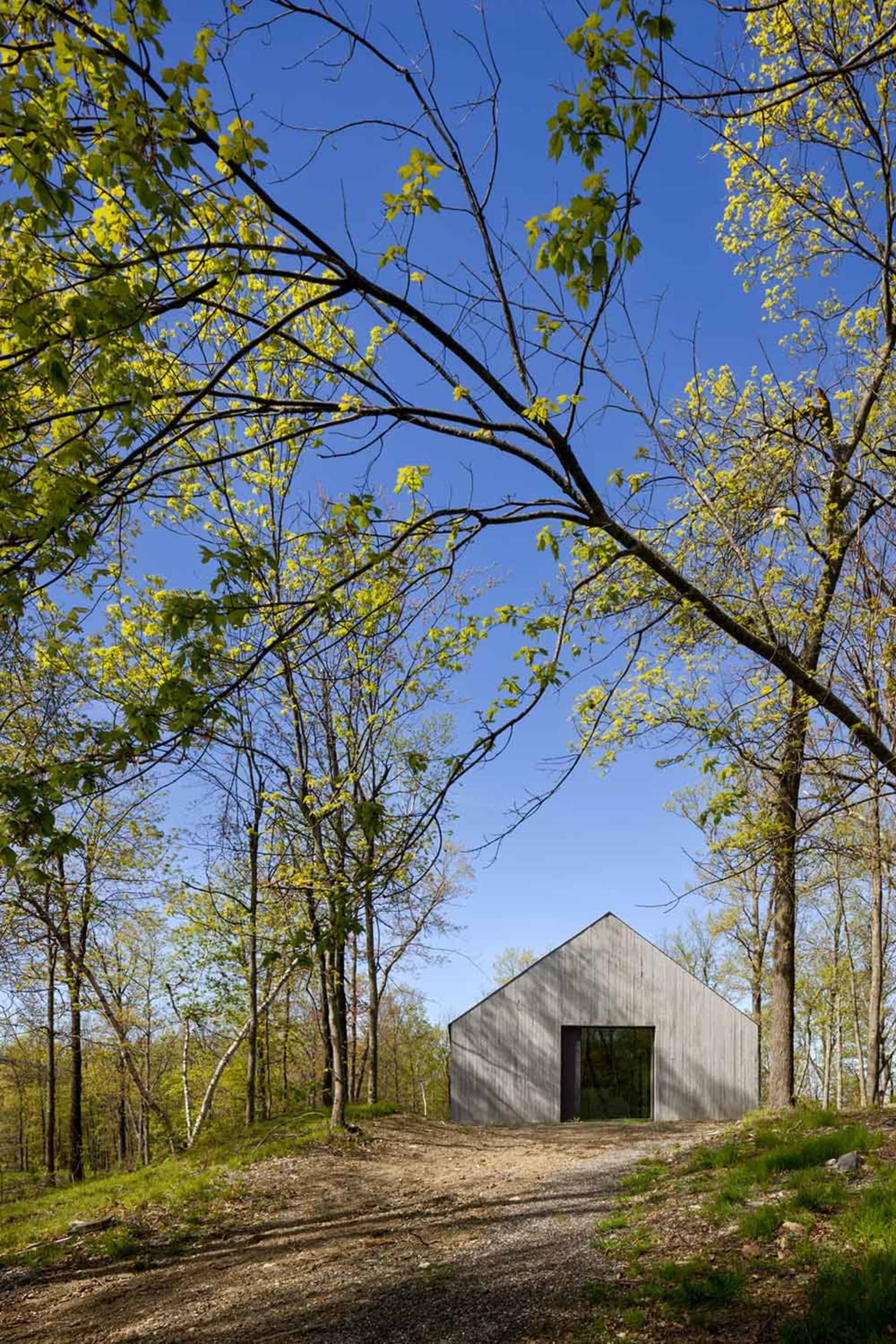 Modern wooden house exterior with large windows and trees in the background.