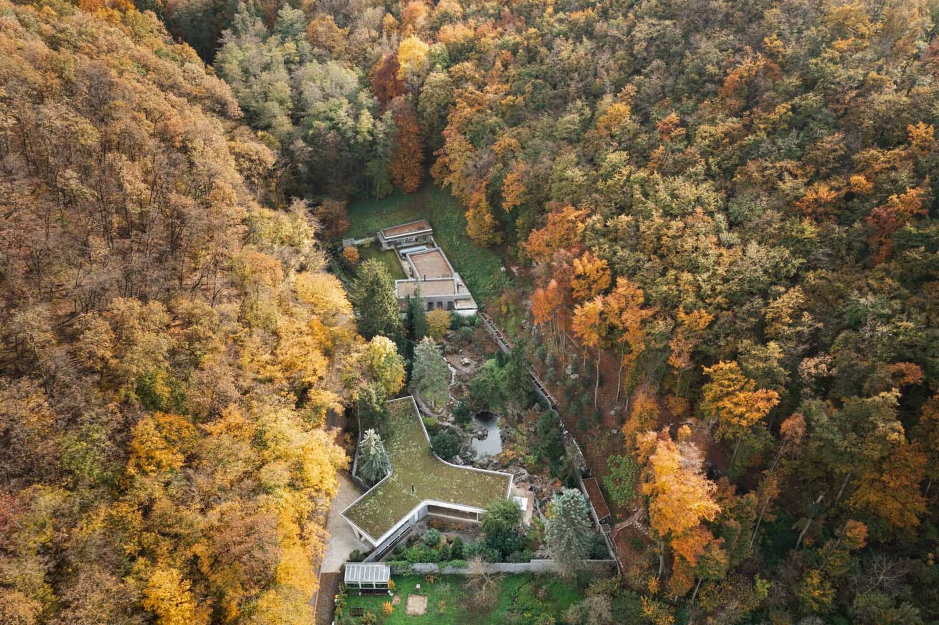 Aerial view of modern architecture nestled within an autumn forest.