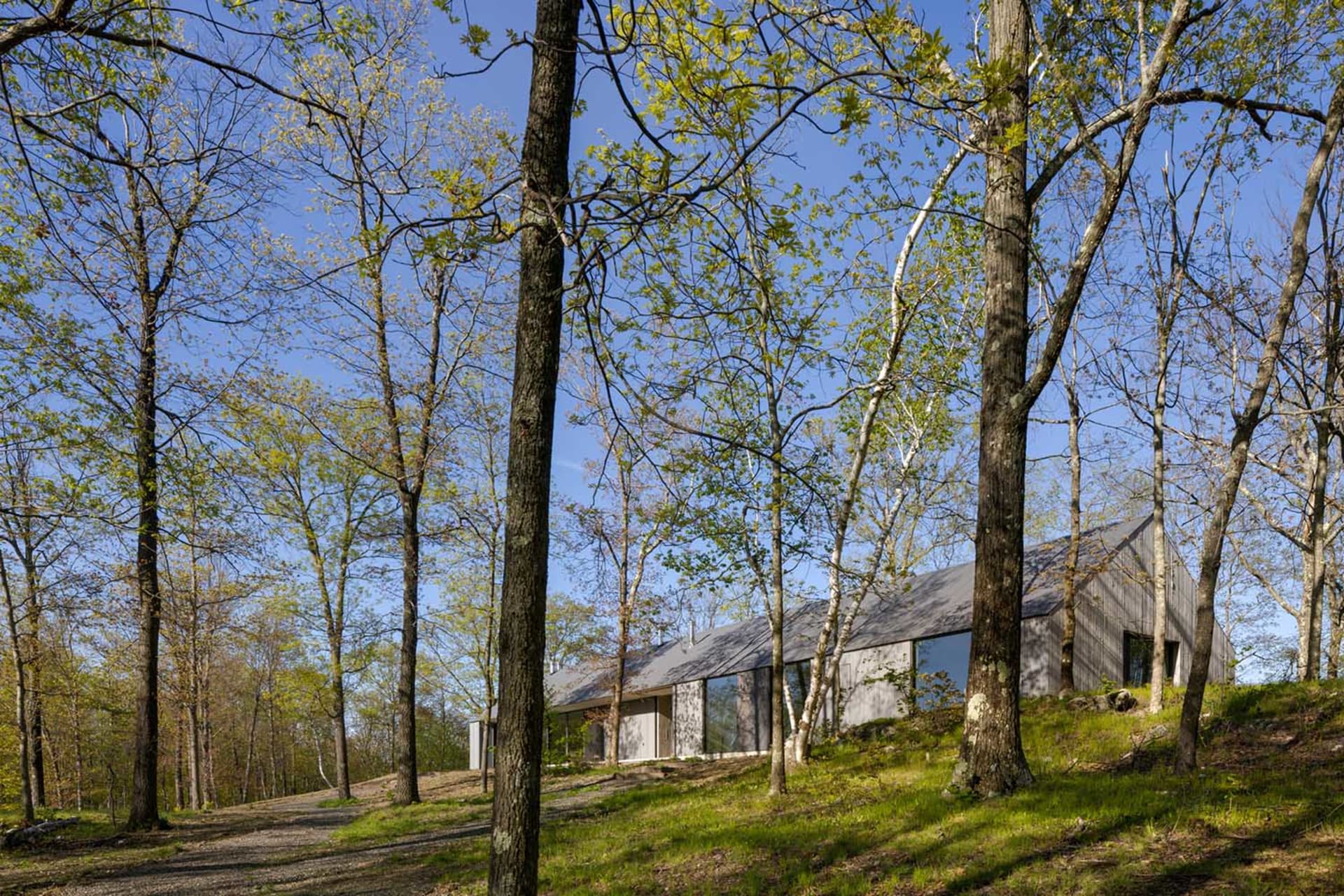 A modern residential house surrounded by trees with a wooden exterior and large glass windows.