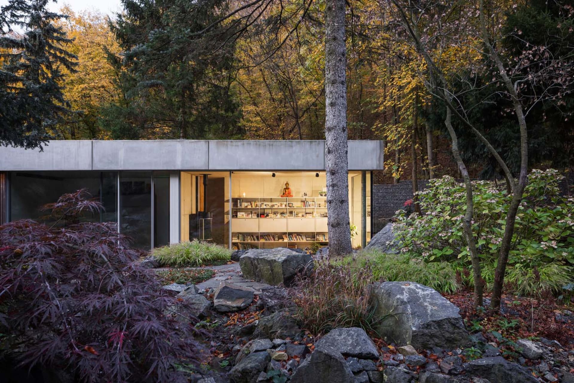 A minimalist, modern library with concrete walls surrounded by a lush, forest-like outdoor space.