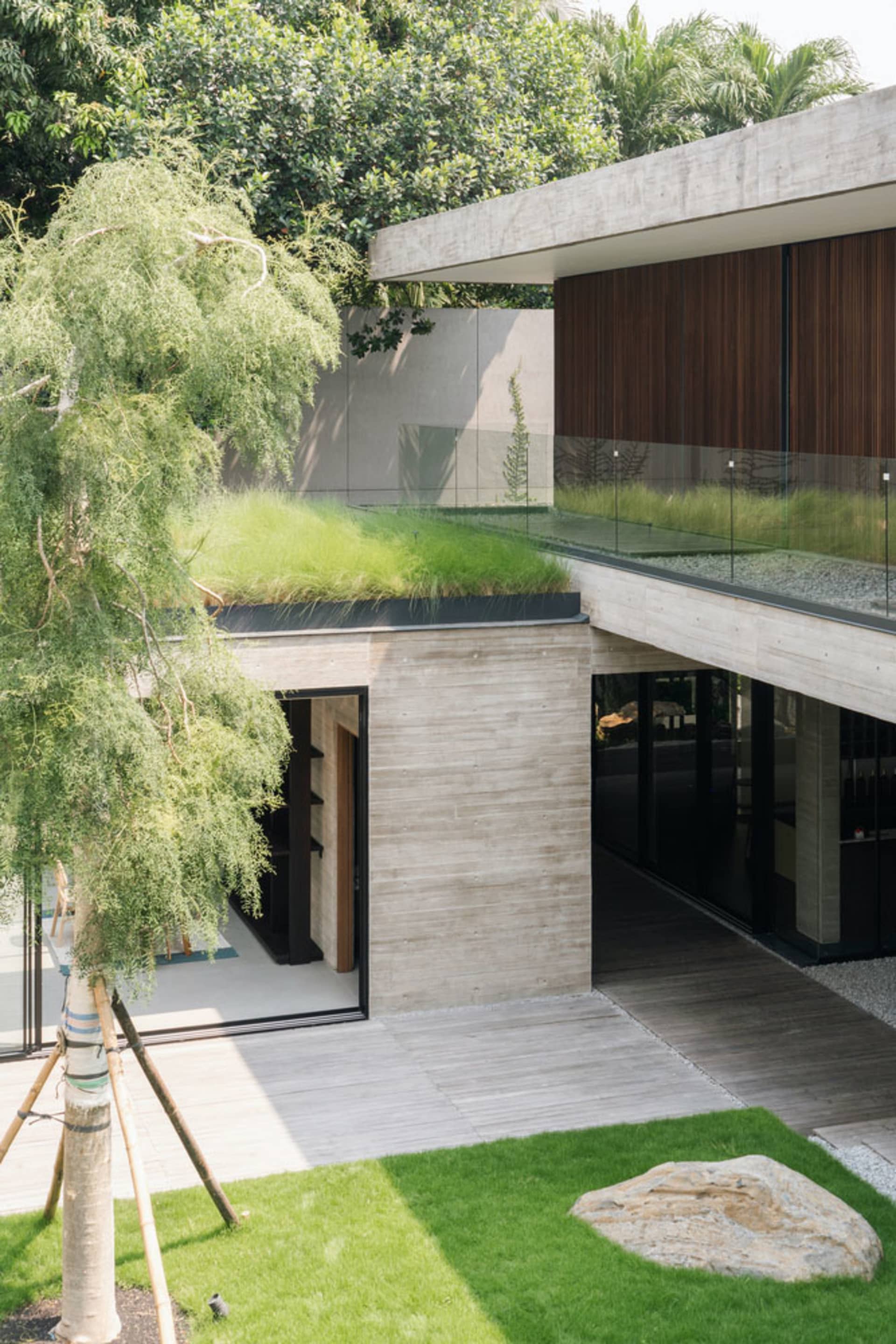 A modern residential house with concrete, glass, and wooden exterior features a rooftop garden with green plants and a glass