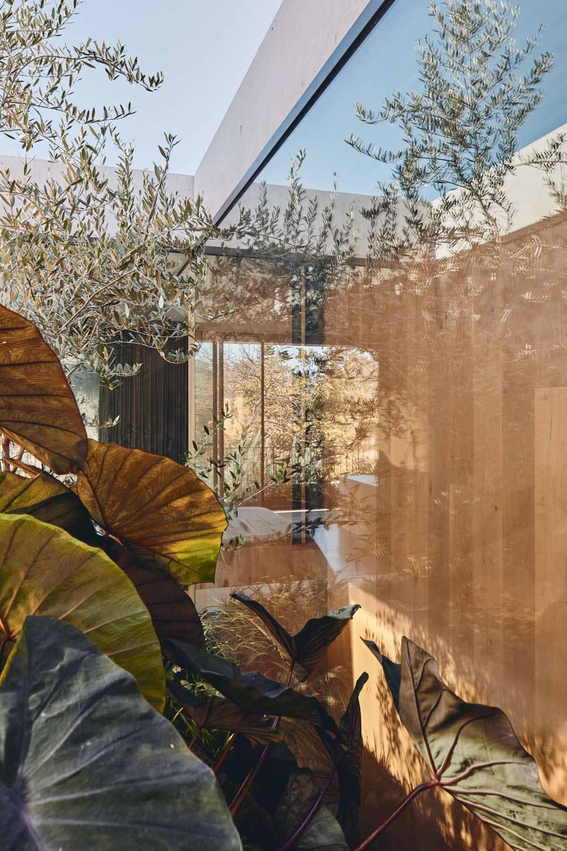 此室內空間採用現代設計元素，包含玻璃牆與木質裝飾。