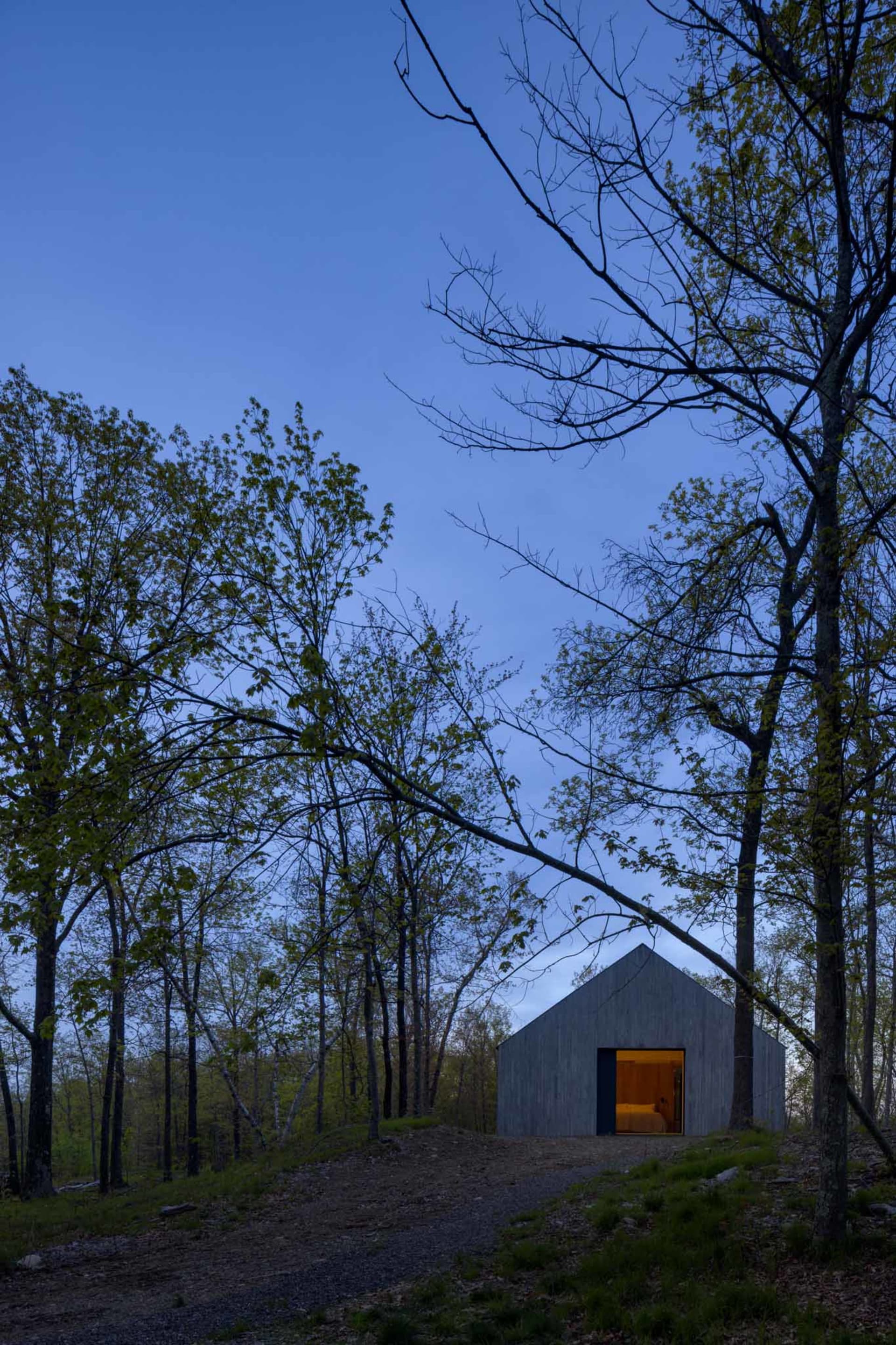 A modern residential wood shed nestled among trees.
