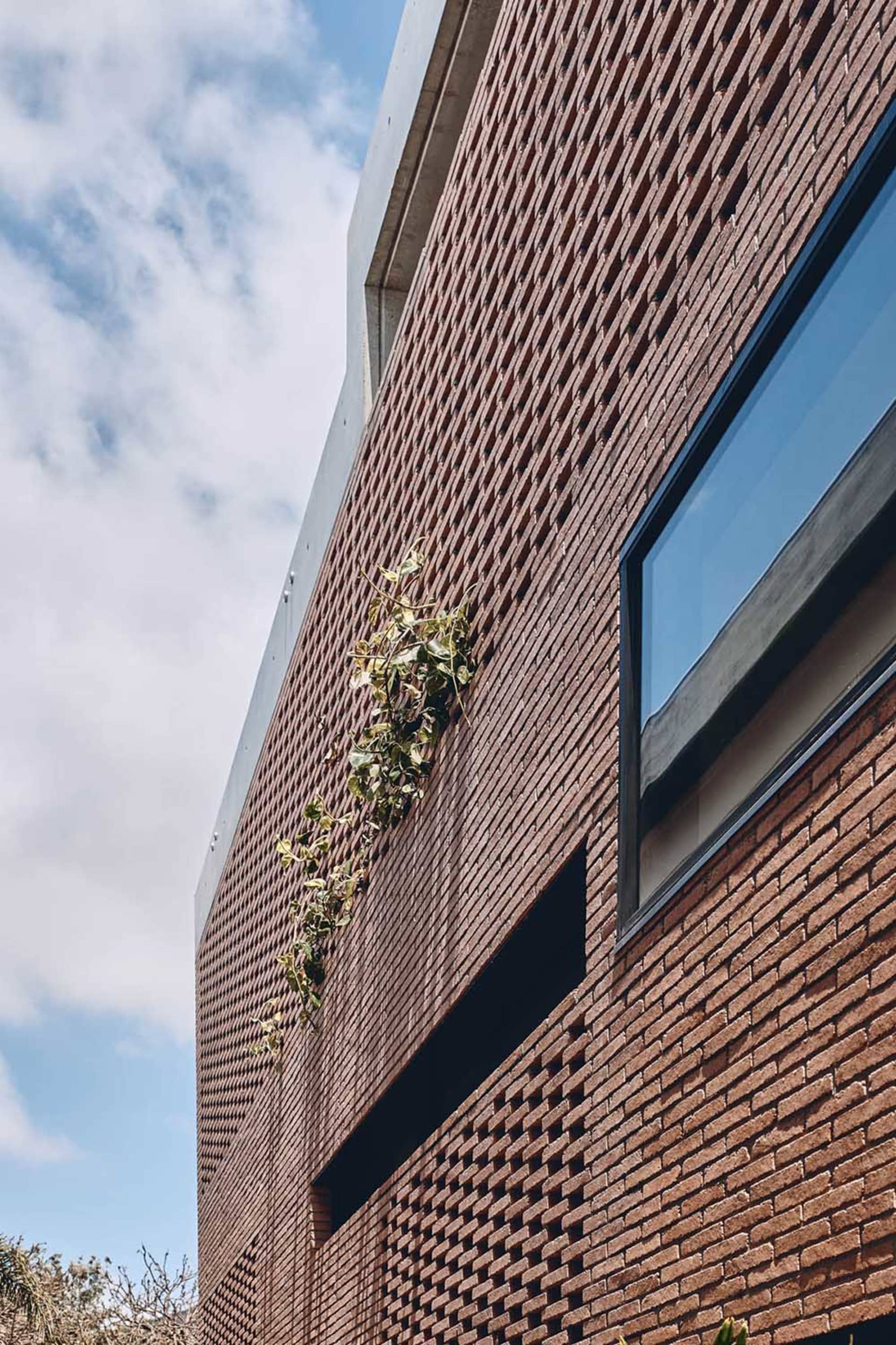 Modern building exterior with brick facade and green foliage