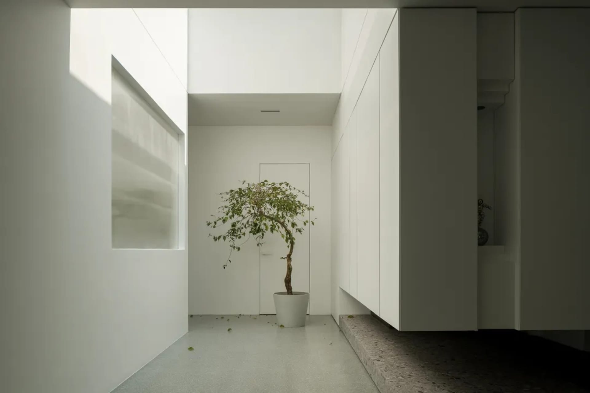 Modern interior entryway with white concrete floor and stone flooring within a white wall, featuring a potted tree.