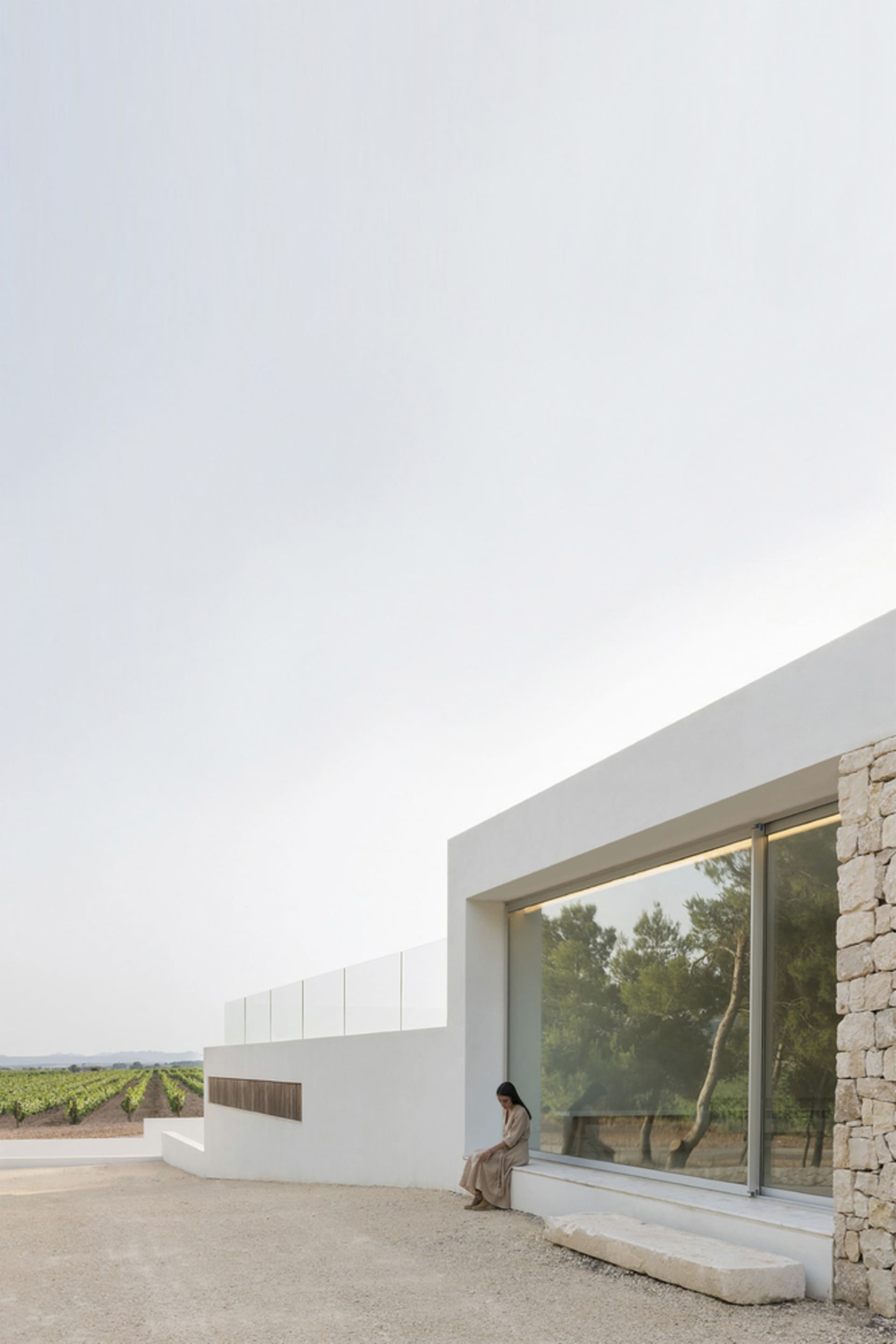 A minimalist residential exterior with a concrete wall and large window overlooking a vineyard.