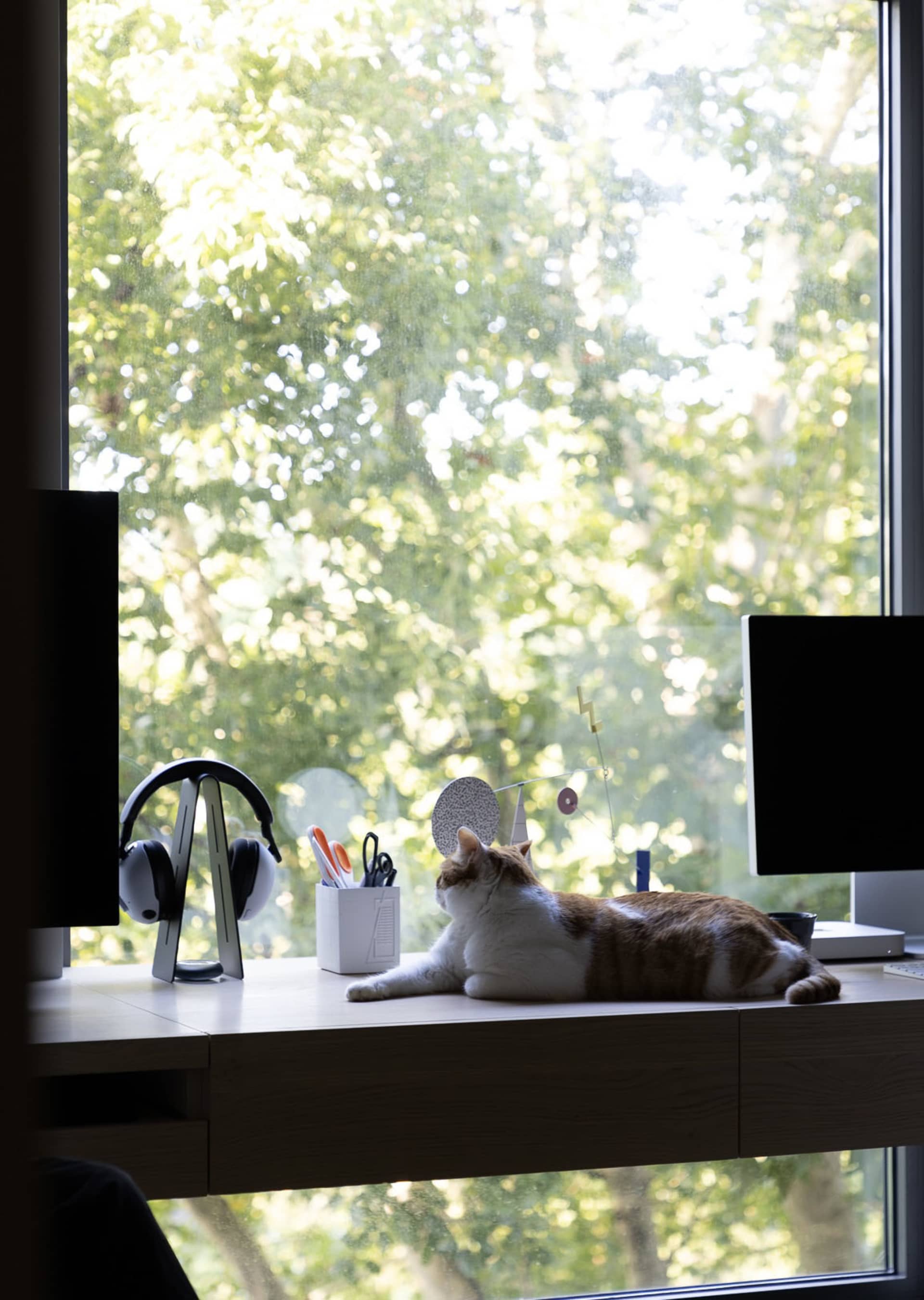 A well-lit home office featuring a desk with a cat lounging on it, surrounded by greenery outside the window.