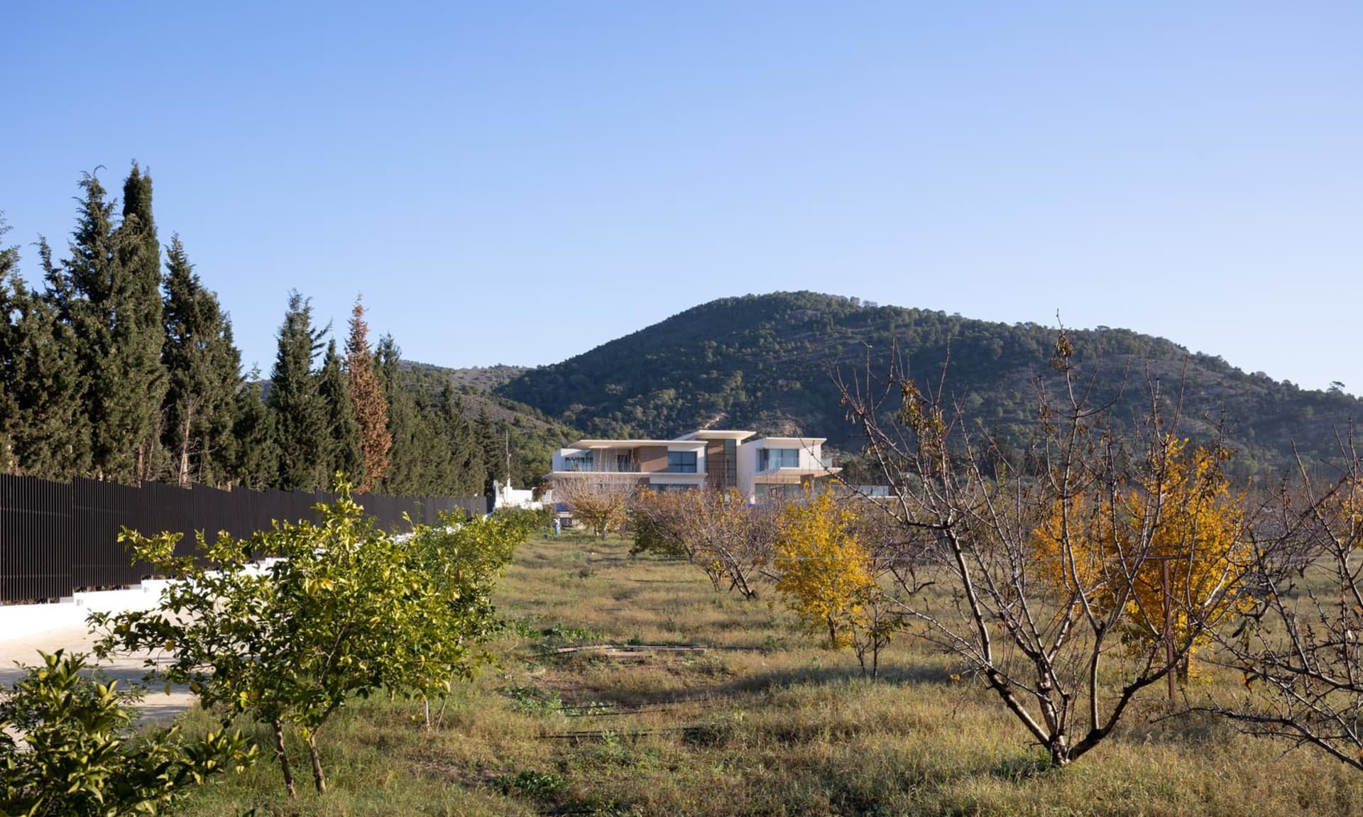 現代住宅建築搭配混凝土牆面與綠意植栽
