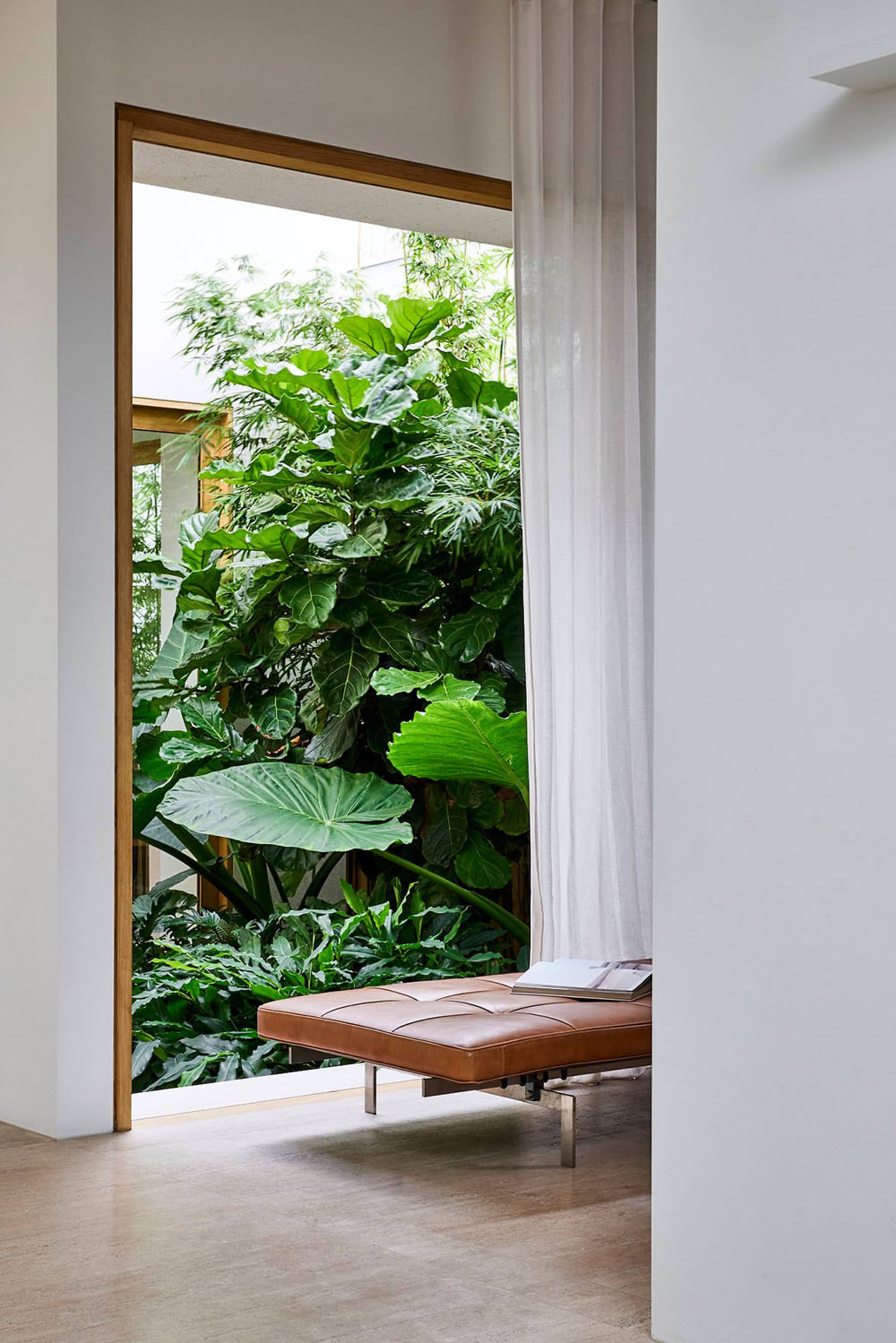A modern living space featuring a brown leather couch with a metal frame, positioned in front of lush green plants.