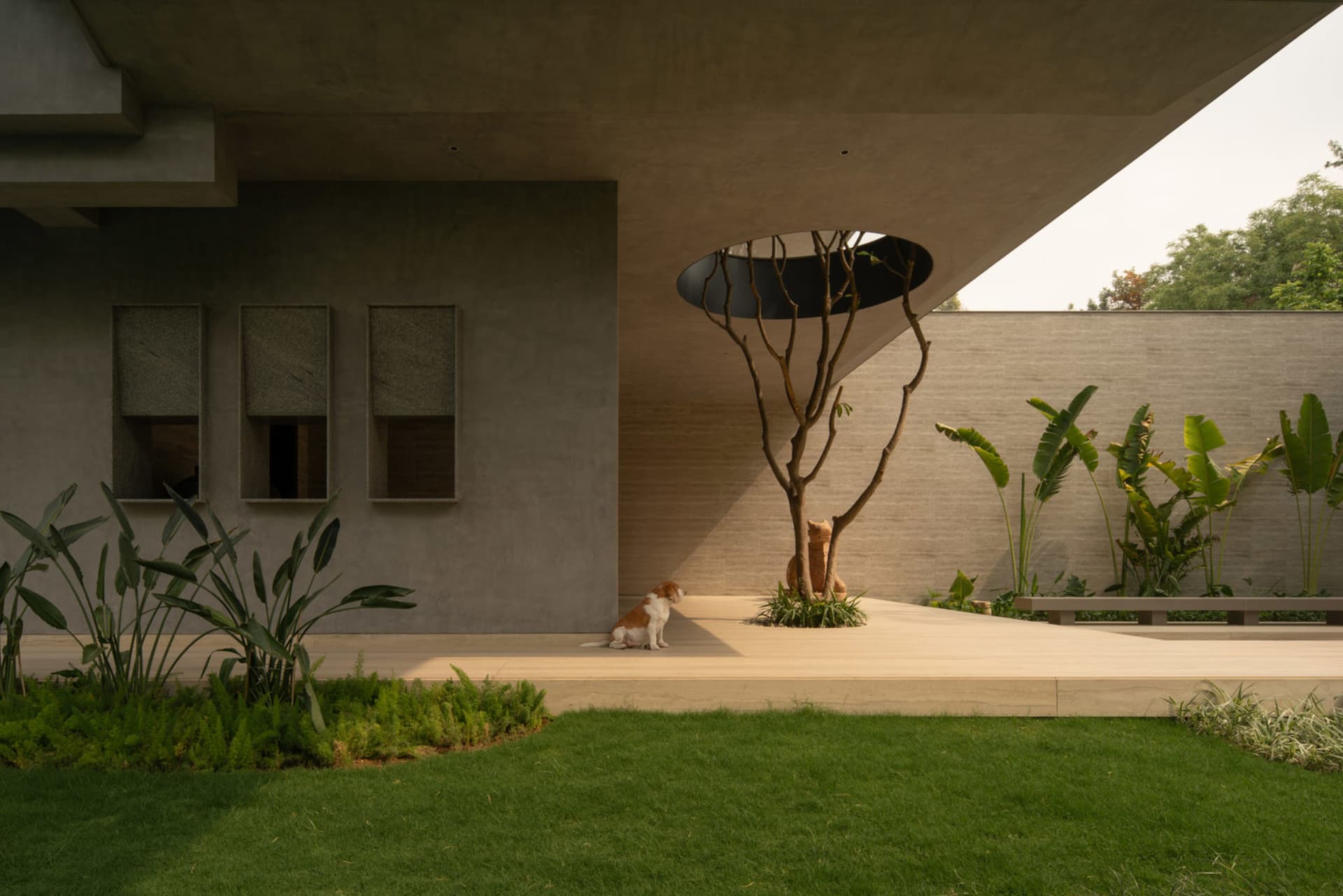 A contemporary concrete house with a minimalist design featuring a circular opening in the ceiling and a dog sitting beside a