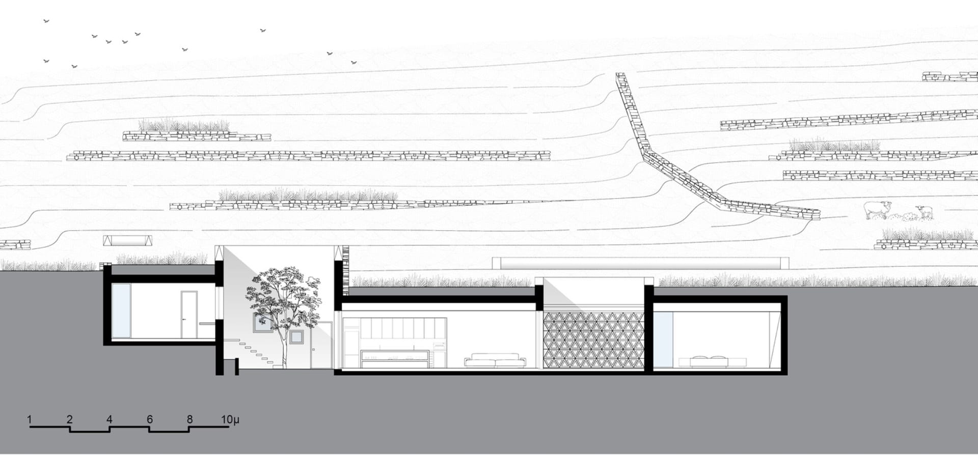 A black-and-white architectural floor plan featuring glass-walled interiors