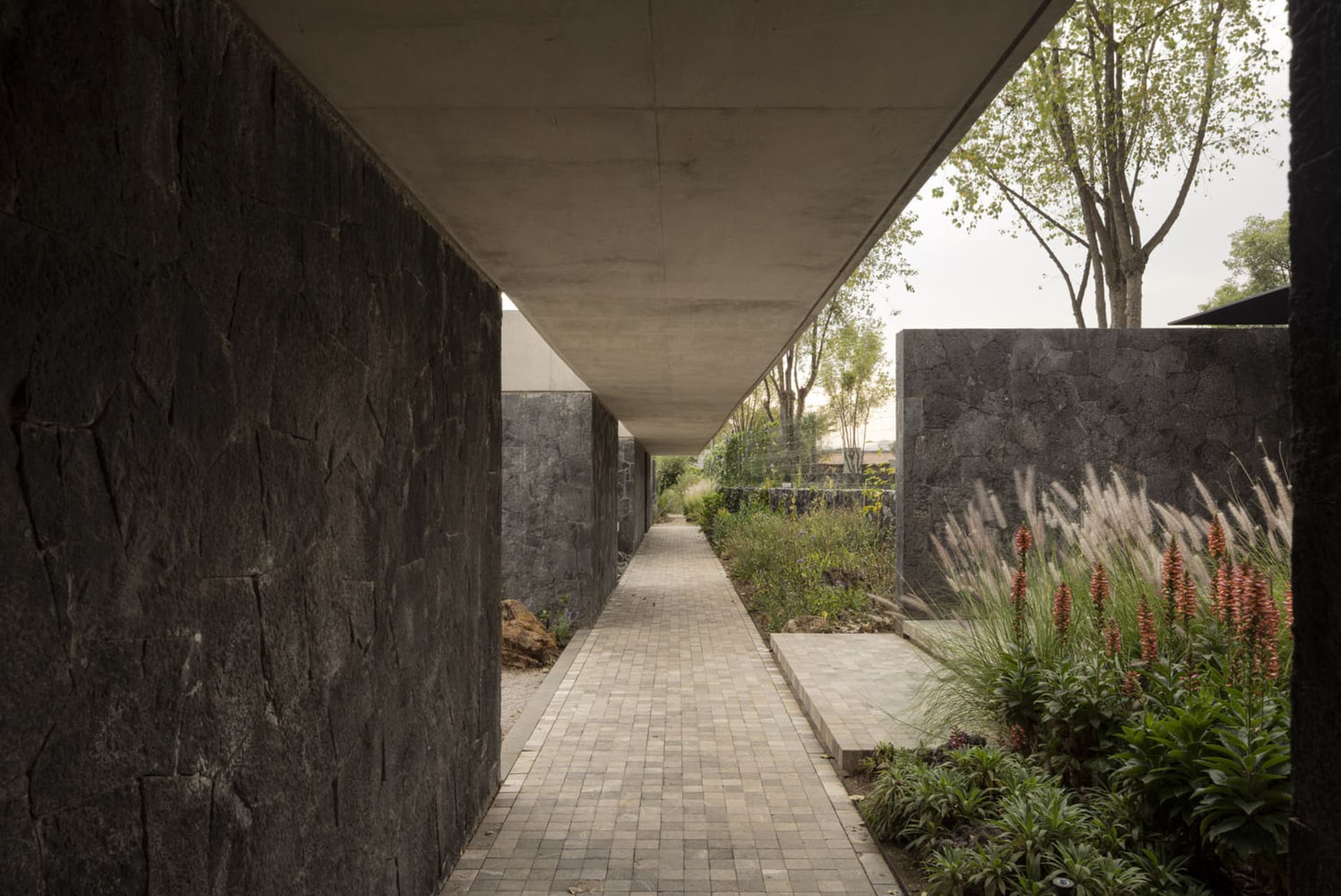 A modern exterior architectural design featuring a wall made of concrete with a garden area.